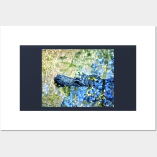 Monet Alligator Posters and Art